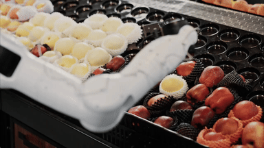 AgiBot G2 robot hand sorting strawberries and chocolates during free-form exploratory teleoperation data collection