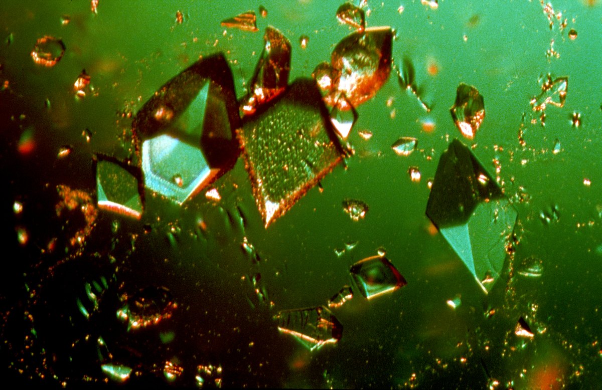 Protein crystals for X-ray crystallography — geometric translucent crystals suspended in solution under microscope; X-ray diffraction through these crystals reveals protein 3D structure at atomic resolution