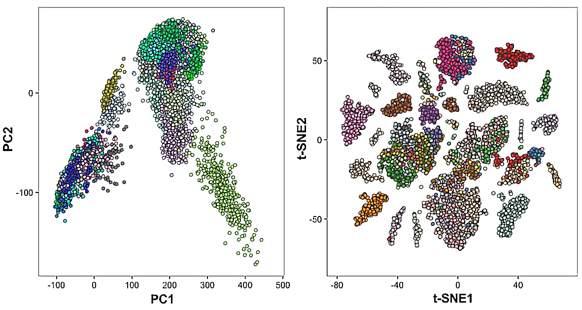 Side-by-side PCA and t-SNE projections of the same dataset, showing how class separability differs by dimensionality-reduction method