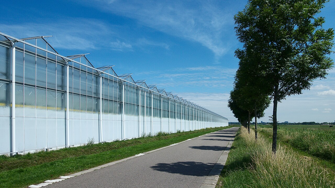 A large modern greenhouse growing crops year-round — a metaphor for the Pebblous Greenhouse, where data and content are raised in a controlled environment
