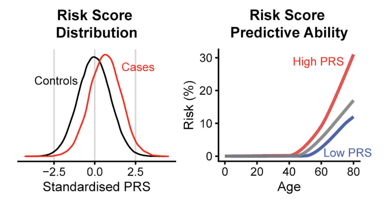 Diagram of polygenic risk score (PRS) distribution and its age-related predictive ability