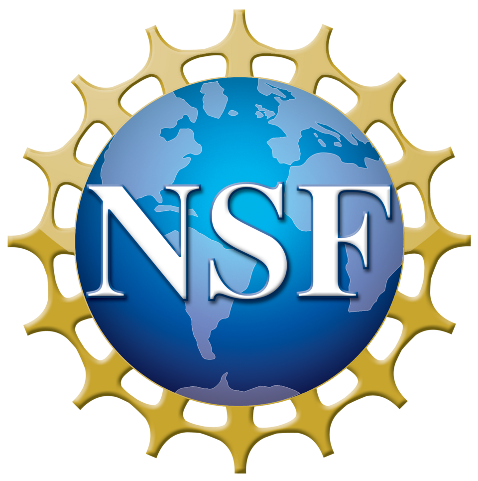 Official logo of the U.S. National Science Foundation (NSF)