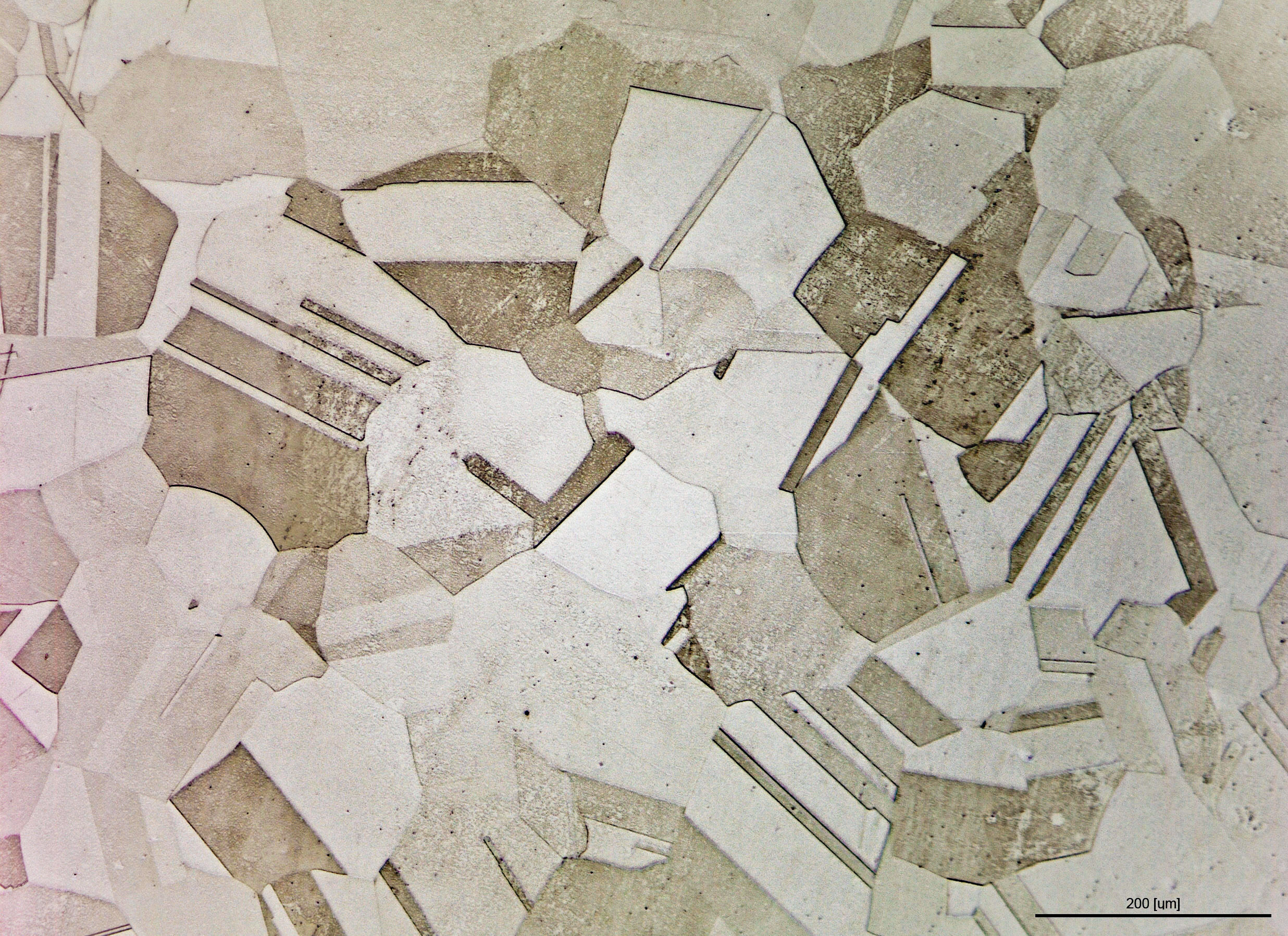 Stainless steel (A961) microstructure under optical microscopy after chemical etching — grain boundaries and phase-distinguishing brightness differences