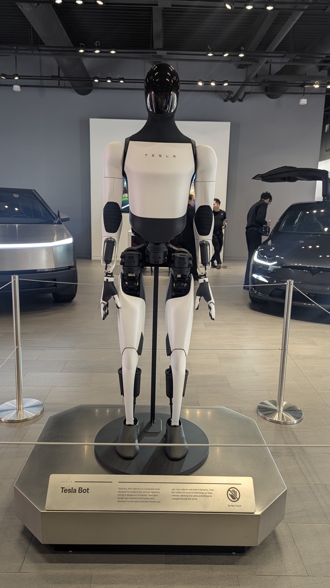 Optimus robot on display at a Tesla showroom, showing its white torso and dark exposed joints