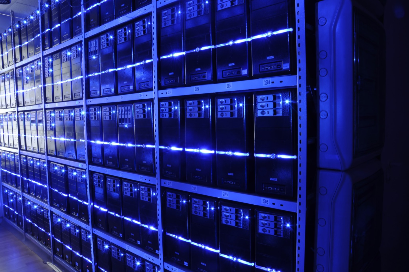 Rows of LED-lit server racks in a data center — the physical location where already-trained web archives actually live