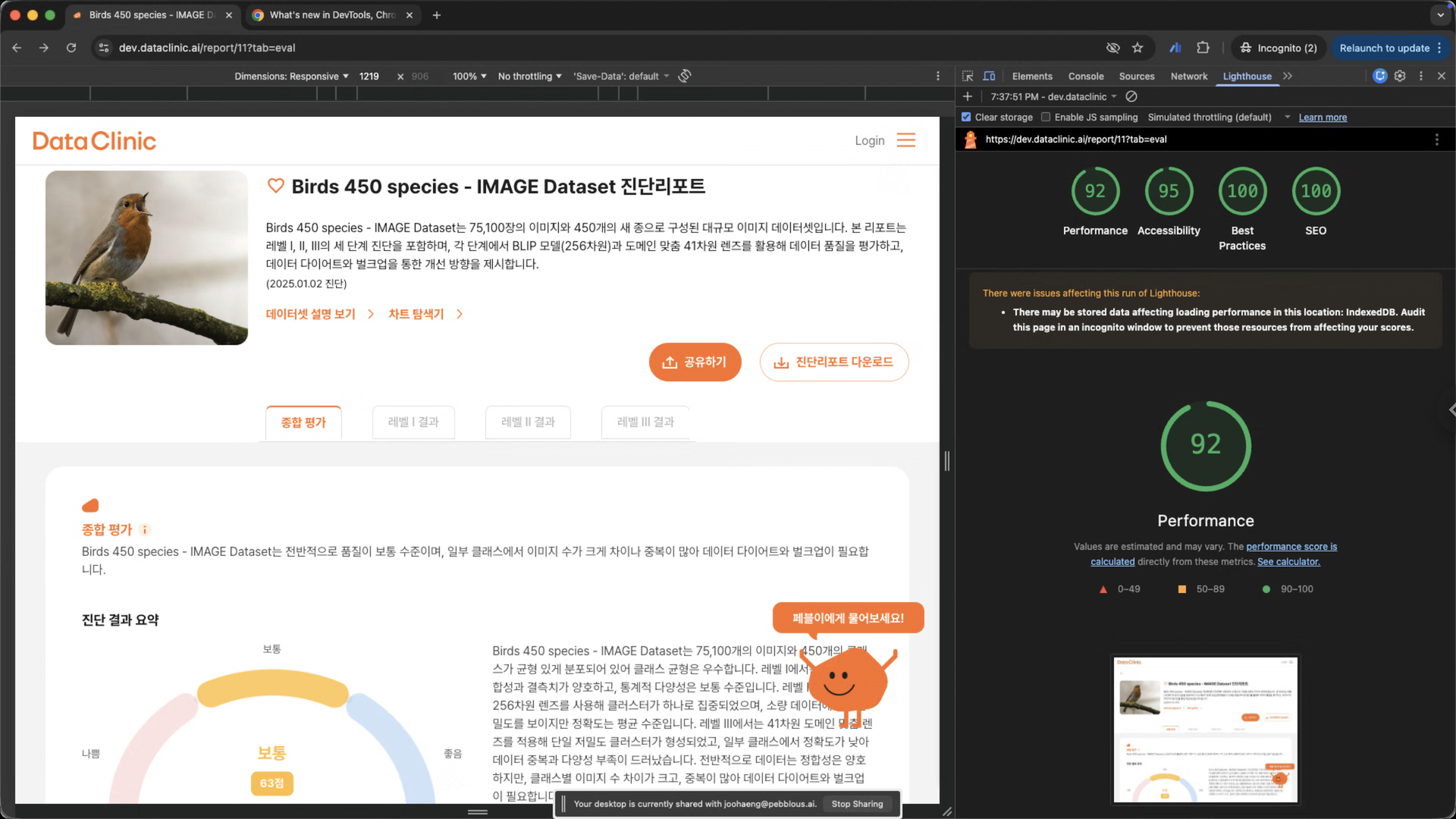 DataClinic report page Lighthouse final results: Performance 92, Accessibility 95, Best Practices 100, SEO 100