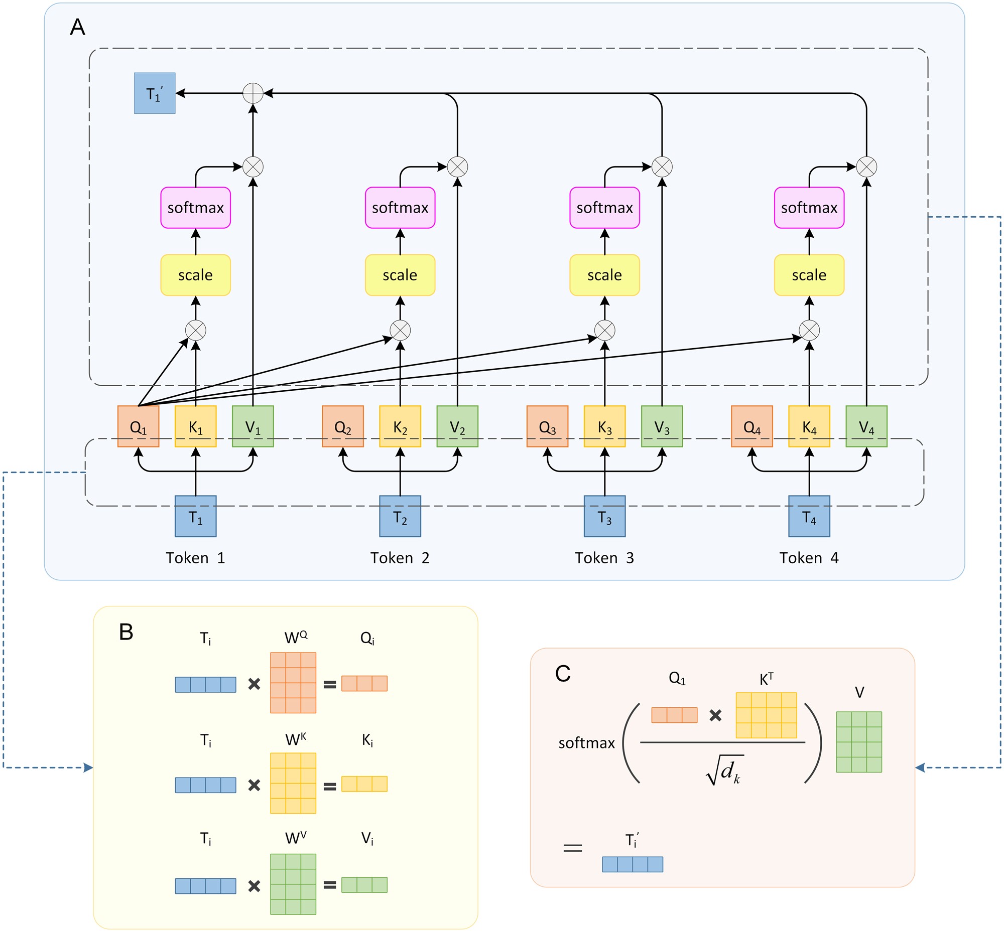 Single attention head in a transformer model — Query, Key, Value matrix operations learn relationships between tokens; EUPE uses different loss functions for class tokens vs patch tokens