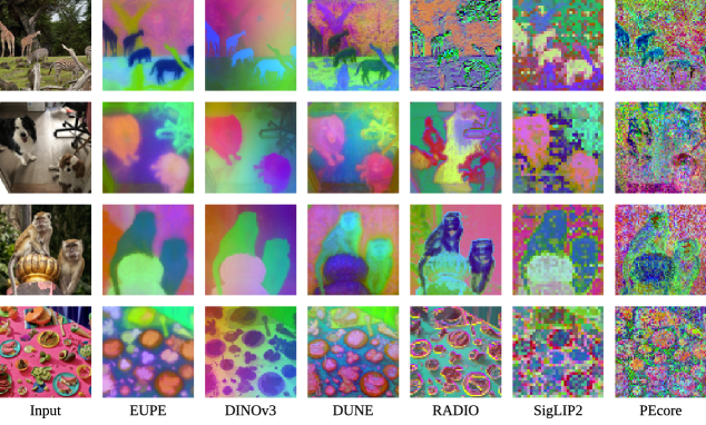 Dense feature PCA comparison across encoders — EUPE captures DINOv3-level spatial structure while preserving SigLIP-level VLM representation