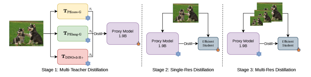 EUPE 3-stage distillation pipeline — Stage 1: multi-teacher to 1.9B proxy; Stage 2: proxy to efficient student at fixed resolution; Stage 3: multi-resolution fine-tuning