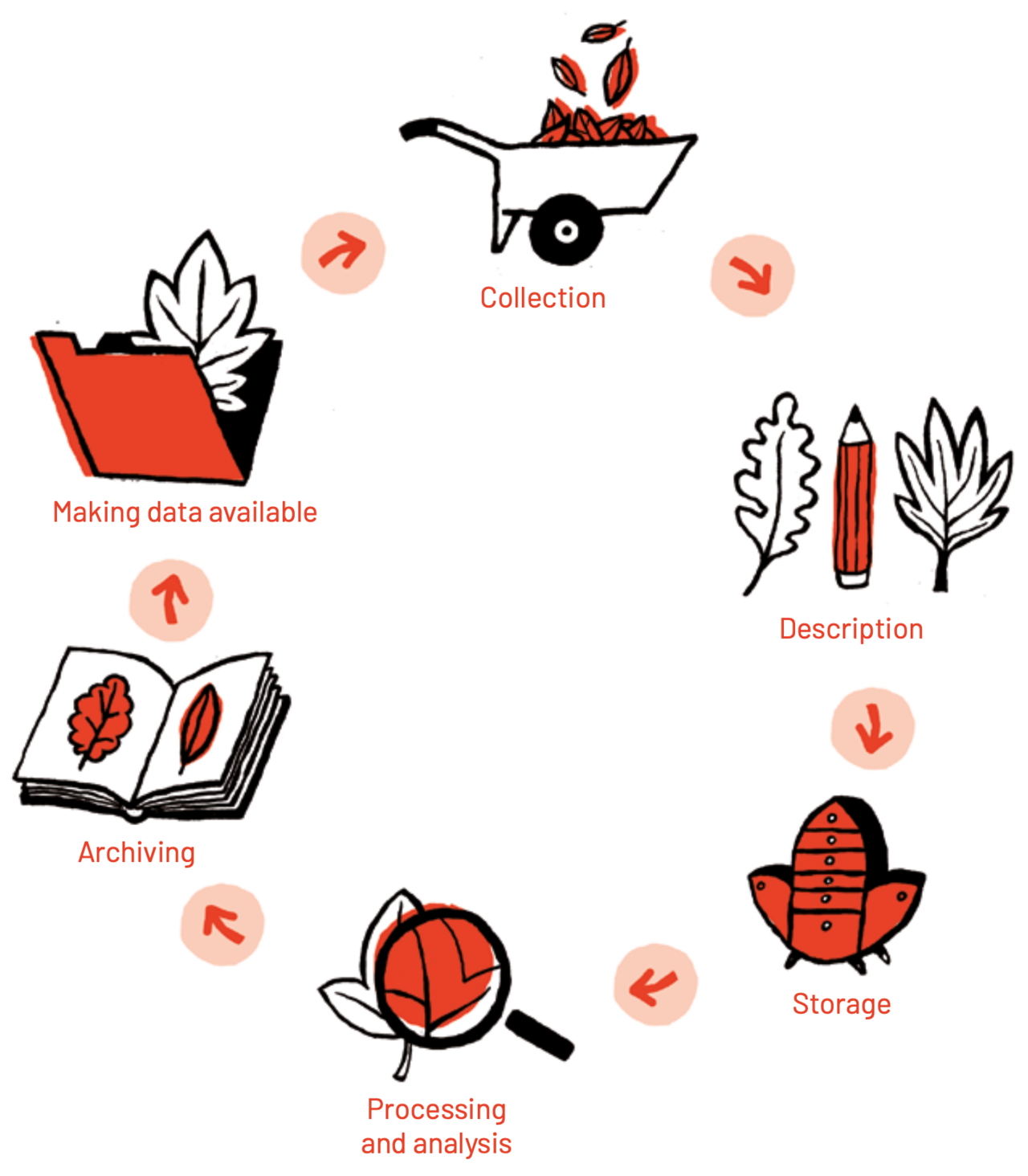 Research data lifecycle circular diagram — six stages: Collection, Description, Storage, Processing and analysis, Archiving, Making data available