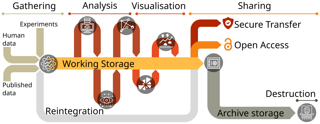Research data flow diagram — Gathering from experiments and published data, through Analysis, Visualisation, to Sharing via secure transfer or open access, then archive storage