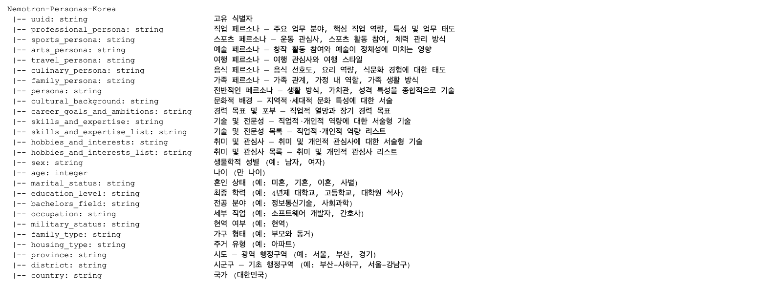 Nemotron-Personas-Korea 26개 필드 스키마 구조