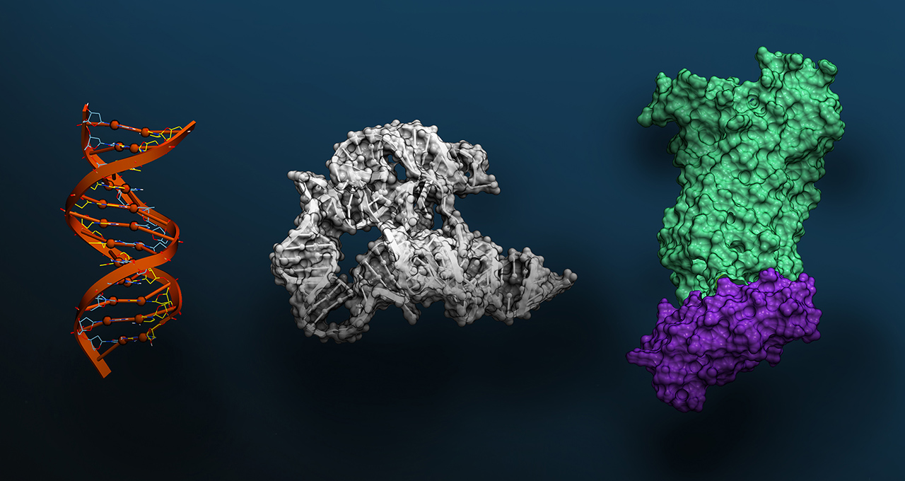 NVIDIA Evo 2 — DNA 이중나선, RNA 구조, 단백질 표면을 함께 다루는 다중 분자 모델링 비주얼
