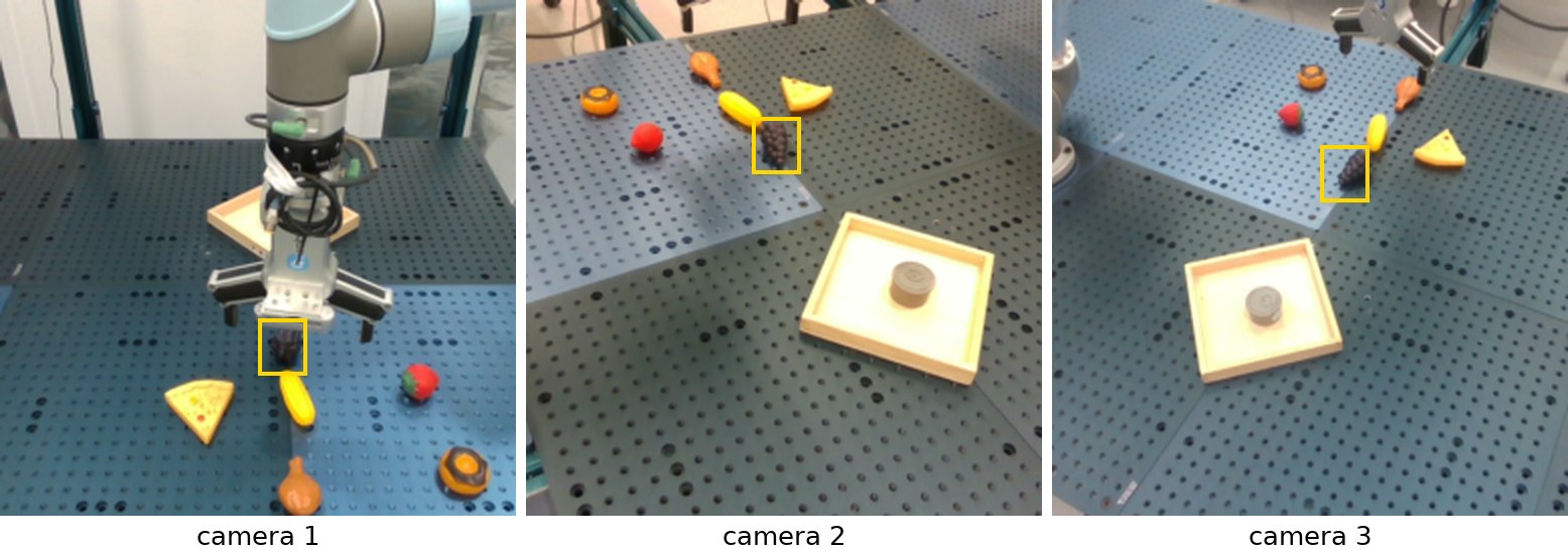 A grape-grasping attempt shown from three camera views. Camera 1 appears to show the gripper holding the grapes, while cameras 2 and 3 show the grapes still resting on the table