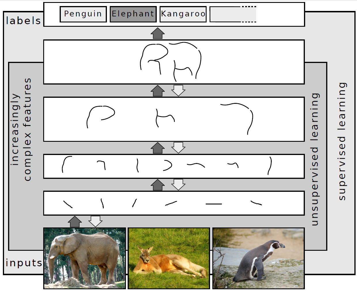 Deep learning hierarchical feature extraction diagram — layers progressing from raw inputs to increasingly abstract representations