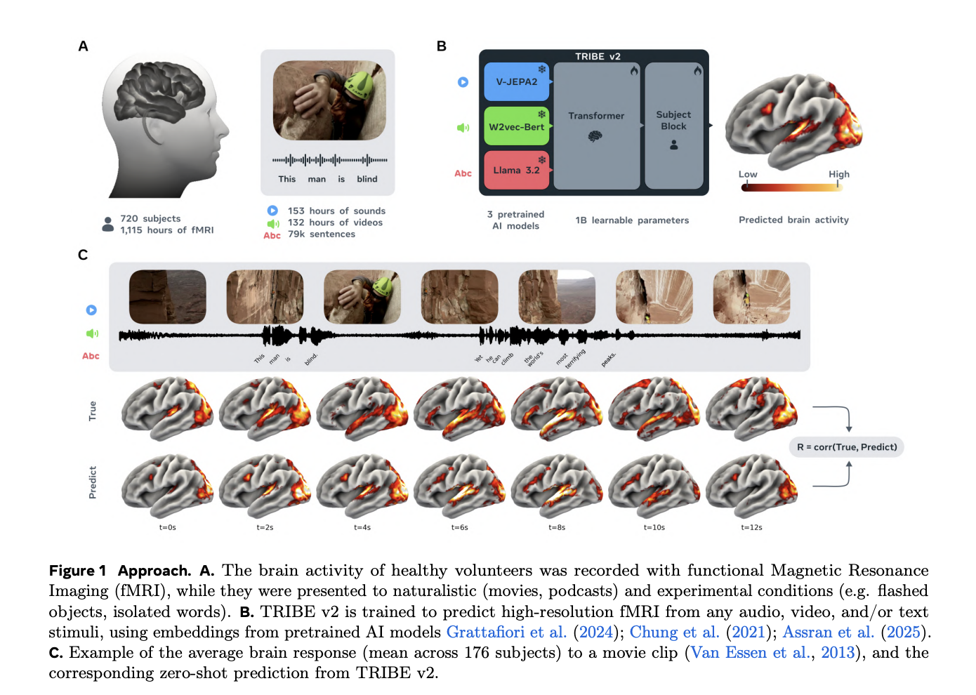 TRIBE v2 research approach overview — fMRI recording, multimodal stimuli (video, audio, text), brain response prediction pipeline